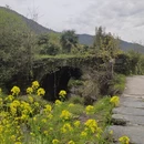 黄山旅游 缩略图 4