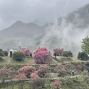 黄山旅游 缩略图 4