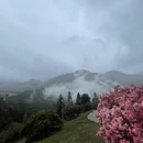 黄山旅游 缩略图 6