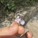遵义旅游 缩略图 5