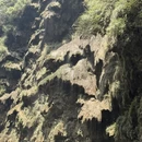 遵义旅游 缩略图 13
