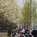 北京旅游 缩略图 10