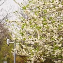 北京旅游 缩略图 11
