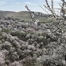 伊犁旅游 缩略图 9