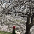 伊犁旅游 缩略图 6