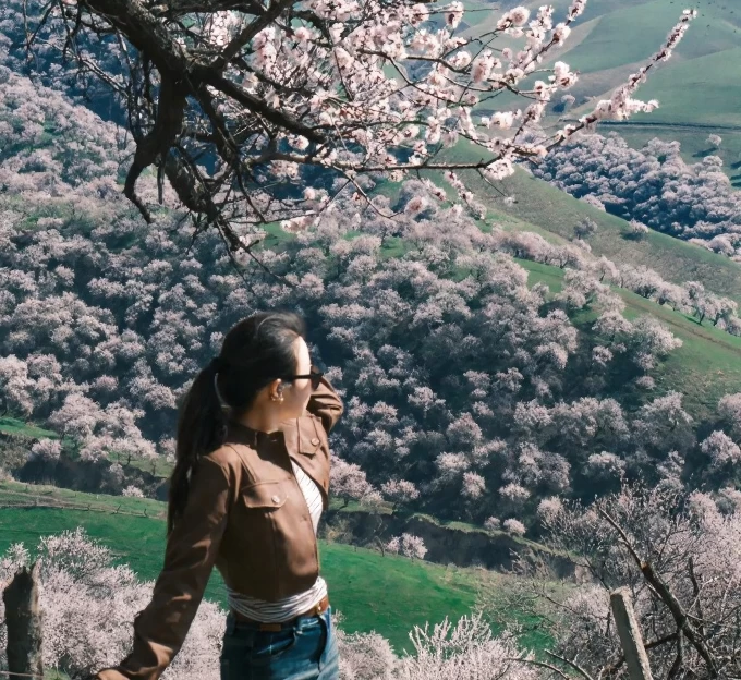伊犁旅游 1