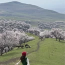 伊犁旅游 缩略图 15