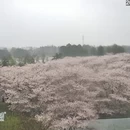 上海旅游 缩略图 2