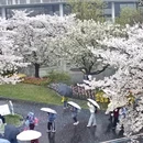 上海旅游 缩略图 1
