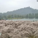上海旅游 缩略图 3