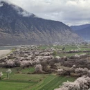 林芝旅游 缩略图 9