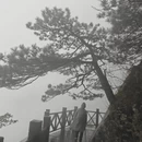 萍乡旅游 缩略图 3