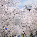 北京旅游 缩略图 6