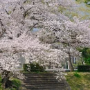 北京旅游 缩略图 4