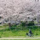 北京旅游 缩略图 3