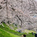 北京旅游 缩略图 5