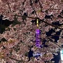 北京旅游 缩略图 1