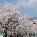 北京旅游 缩略图 9