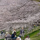 北京旅游 缩略图 10