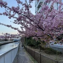 北京旅游 缩略图 2