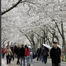 无锡旅游 缩略图 12