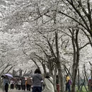 无锡旅游 缩略图 10