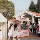 上海旅游 缩略图 7