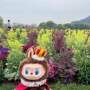 上海旅游 缩略图 6