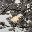 上海旅游 缩略图 12
