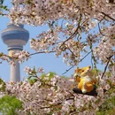 北京旅游 缩略图 2