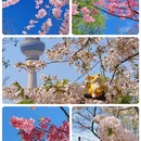 北京旅游 缩略图 1