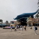 珠海旅游 缩略图 8