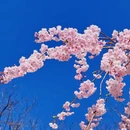 北京旅游 缩略图 6