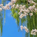 北京旅游 缩略图 8