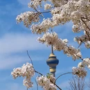 北京旅游 缩略图 5
