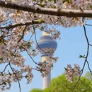 北京旅游 缩略图 4