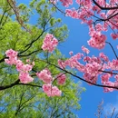 北京旅游 缩略图 12