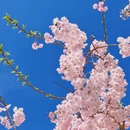 北京旅游 缩略图 7