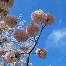 北京旅游 缩略图 11