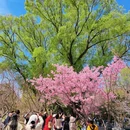 北京旅游 缩略图 18