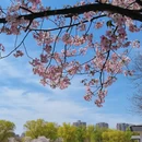 北京旅游 缩略图 17