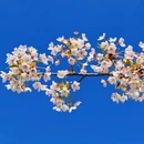 北京旅游 缩略图 15