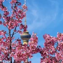 北京旅游 缩略图 14