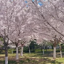 北京旅游 缩略图 16