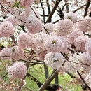 北京旅游 缩略图 3