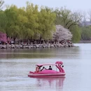 北京旅游 缩略图 9