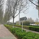 石家庄旅游 缩略图 9