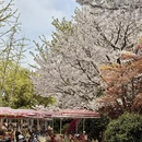 宁波旅游 缩略图 4