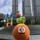 重庆旅游 缩略图 6