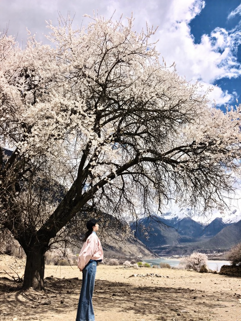林芝旅游